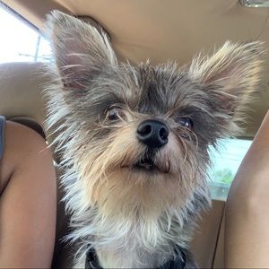 Meet your Posher, Leslie